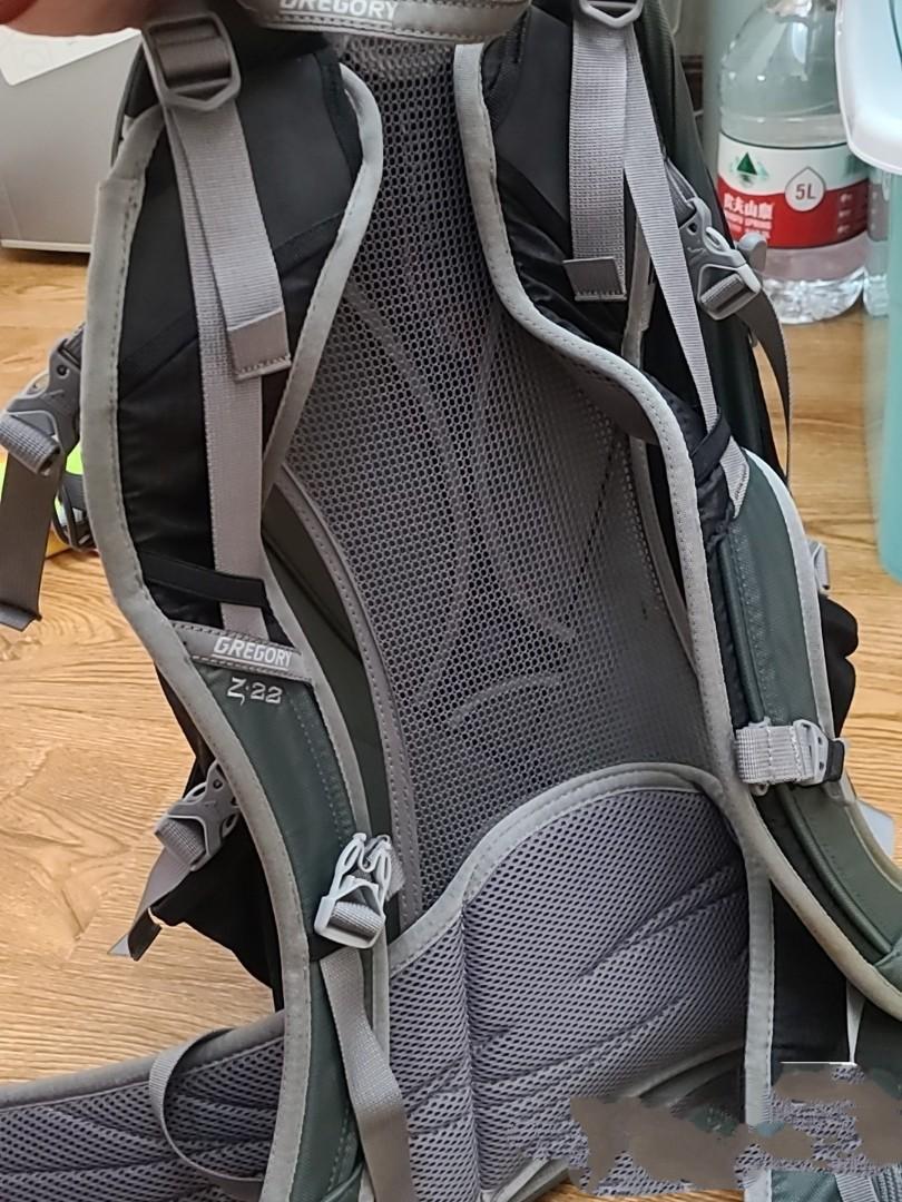 Gregory z22 2025