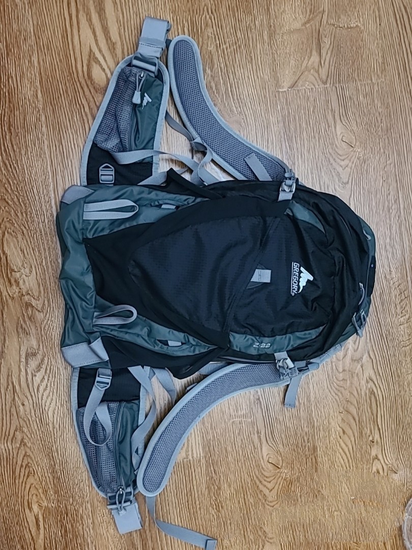 Gregory z22 store