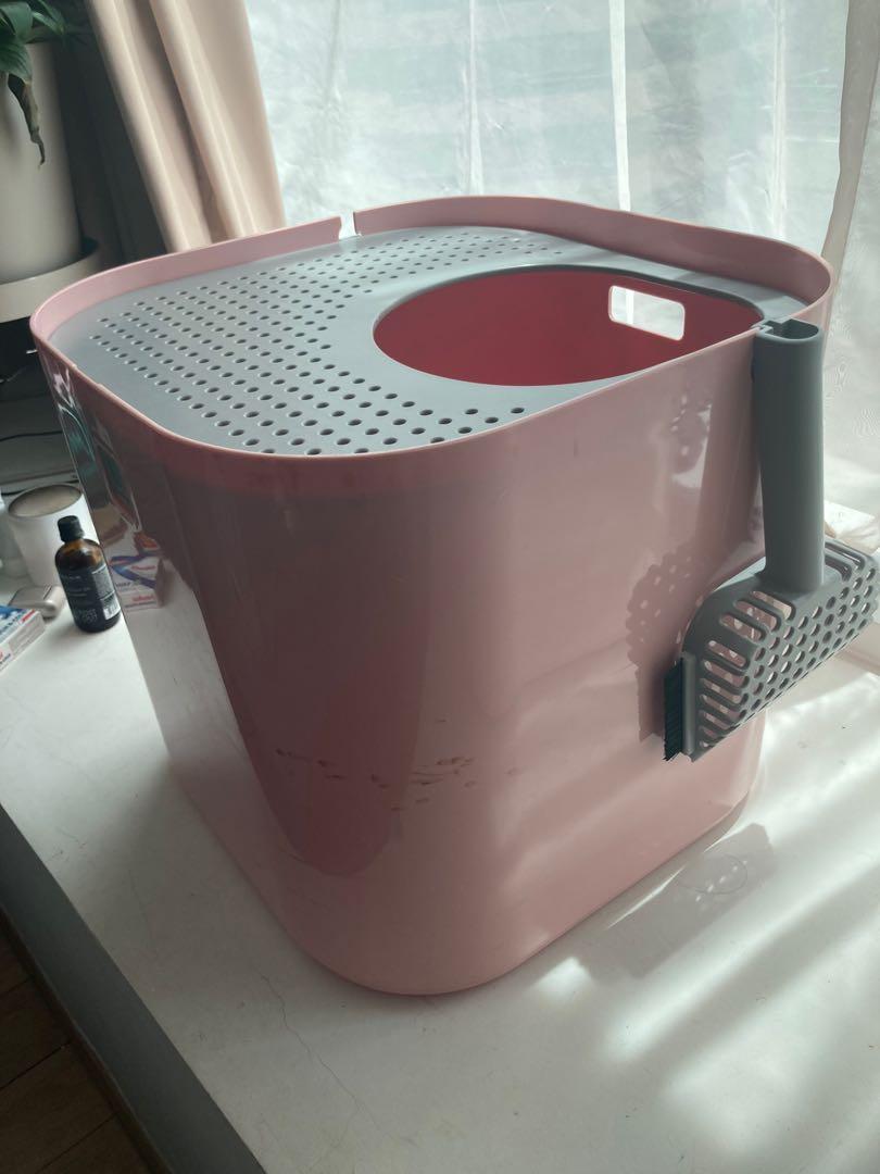 Modkat Cat Litter Box, Pet Supplies, Homes & Other Pet Accessories on Carousell