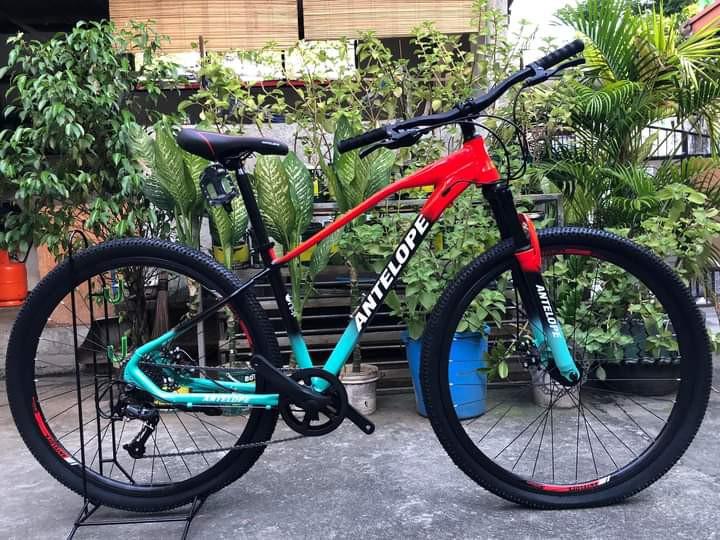 Budget 29er hotsell