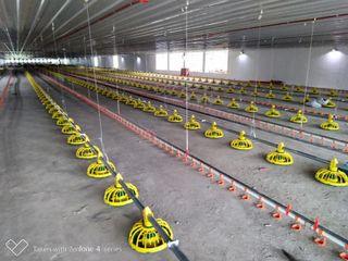 POULTRY, COLD STORAGE, FREEZER ROOM, WAREHOUSE !