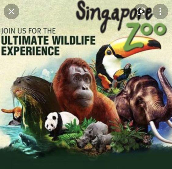 Singapore zoo ticket, Tickets & Vouchers, Event Tickets on Carousell