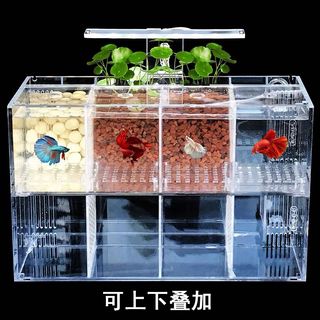 （分類：）位於 。 由 wallysou 提交（商品編號 1166757677，圖片 1）。簡介： 。