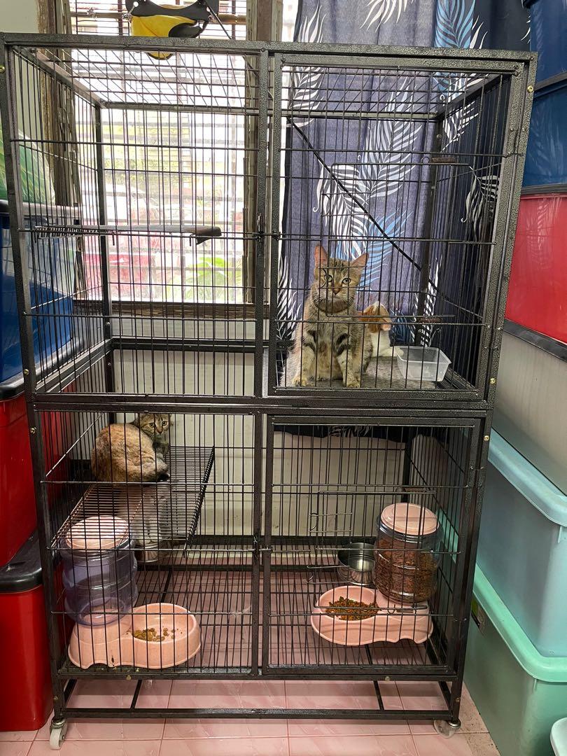 Big top cat cage