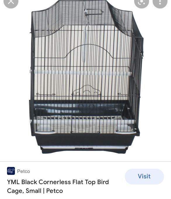 bird cage stand petco