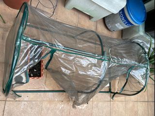 (Category: ) located in . Submitted by ga2004 (Listing ID 1166671698, Image 1). Description: .