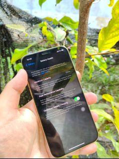 iPhone 12 Pro 256