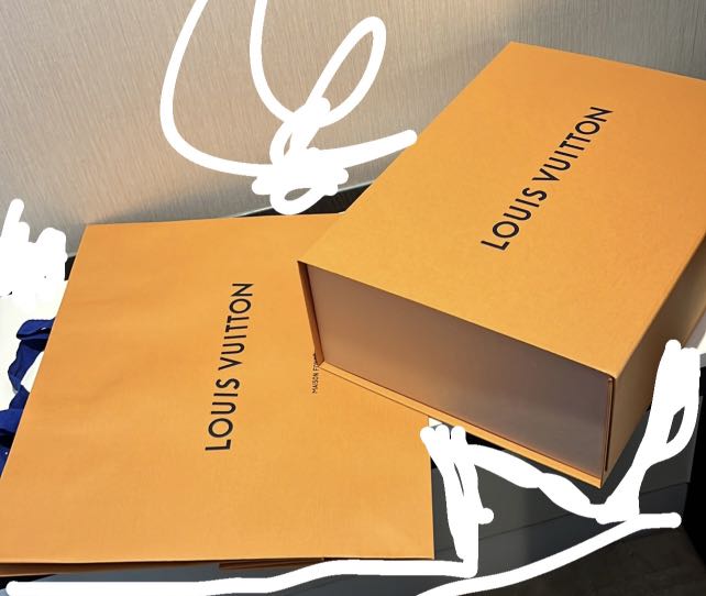 Lv best sale bag box