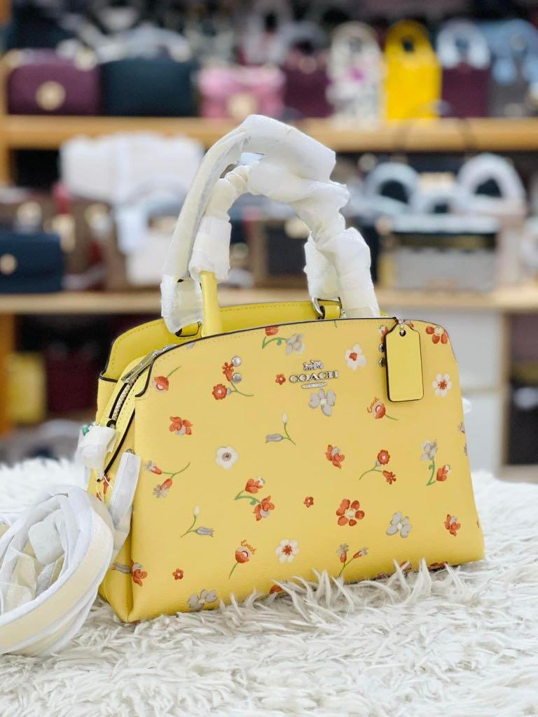 Coach mini shop lillie ombre