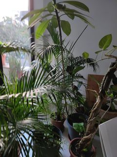 (Category: ) located in . Submitted by baptisteg (Listing ID 1166740226, Image 1). Description: .