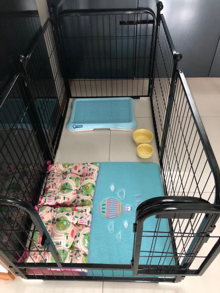 Puppy Playpen for sale Pet Supplies Homes Other Pet Accessories on Carousell