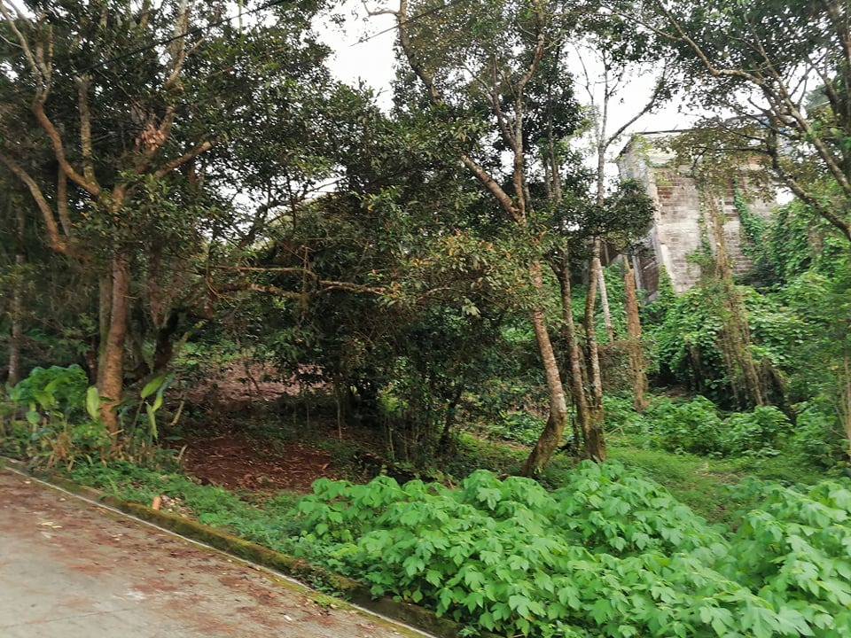 (Category: ) located in . Submitted by baguio.joshuatreerealty (Listing ID 1166725702, Image 1). Description: .
