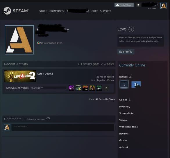 STEAM ACCOUNT WITH FUNDS, Video Gaming, Gaming Accessories, Game Gift