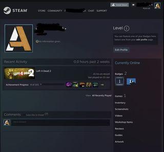 STEAM ACCOUNT WITH FUNDS