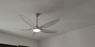 (Category: ) located in . Submitted by eddy72_2024 (Listing ID 1166857957, Image 1). Description: .