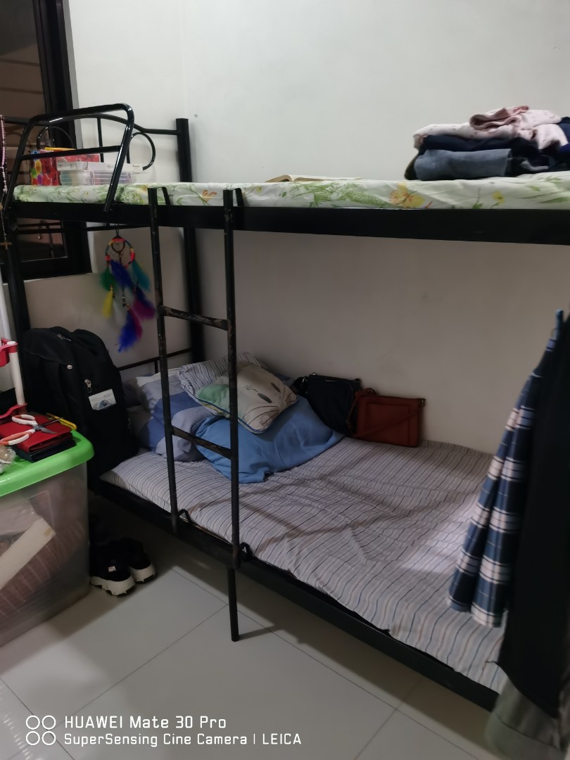 Double deck with 2 mattress and plywood, Furniture & Home Living