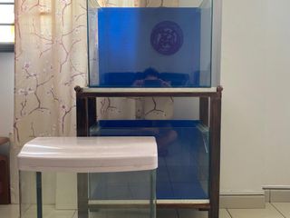 (Category: ) located in . Submitted by icav_ (Listing ID 1166957400, Image 1). Description: .