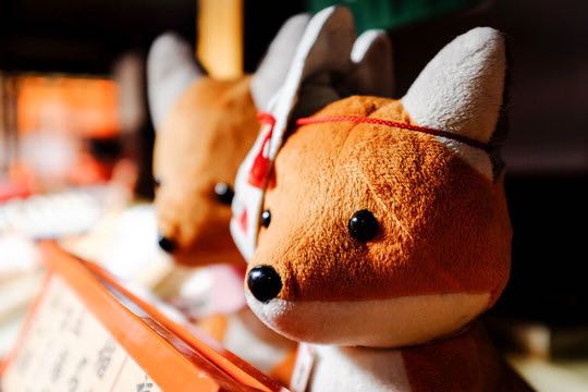 Inari 2025 fox plush