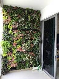 Need help to put up wall plants in an office wall.