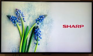 （分類：）位於 。 由 shalahea 提交（商品編號 1166994001，圖片 1）。簡介： 。