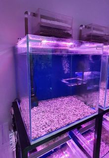 (Category: ) located in . Submitted by cjgthai (Listing ID 1166882144, Image 1). Description: .