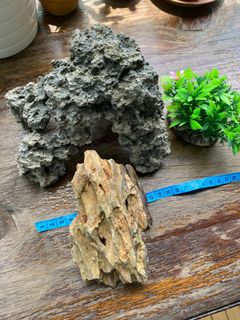 （分類：）位於 。 由 zeniusgenie 提交（商品編號 1167051870，圖片 1）。簡介： 。