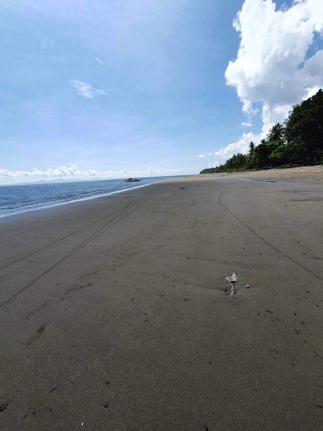 100+ affordable "beachfront" For Sale Carousell Philippines