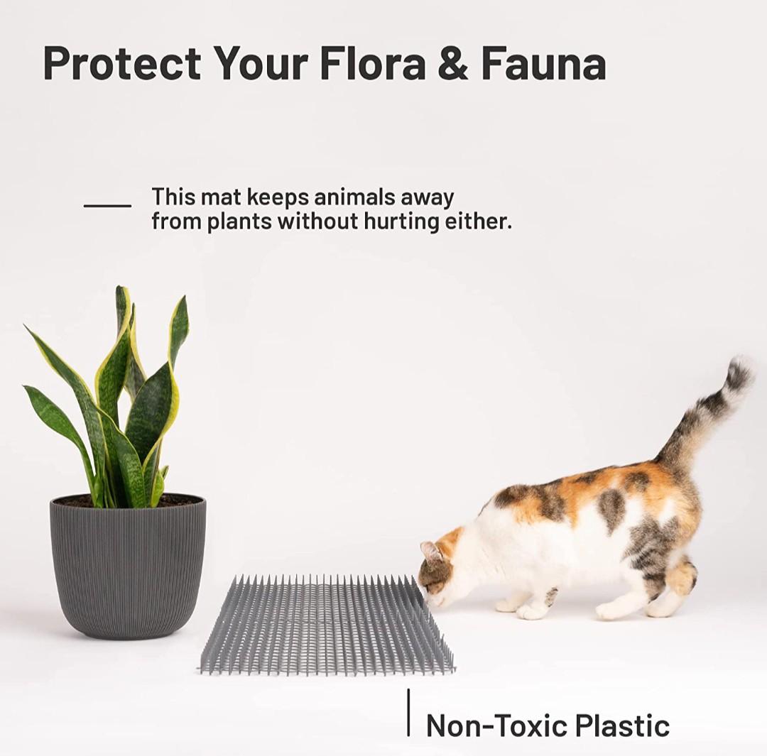 Cat Scat Mat (cat and dogs deterrent), Pet Supplies, Homes & Other Pet