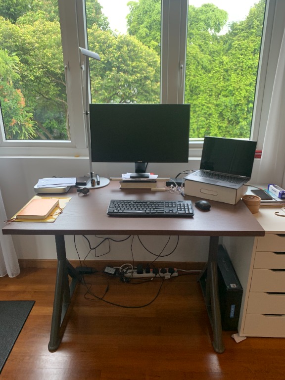Idasen desk 2024