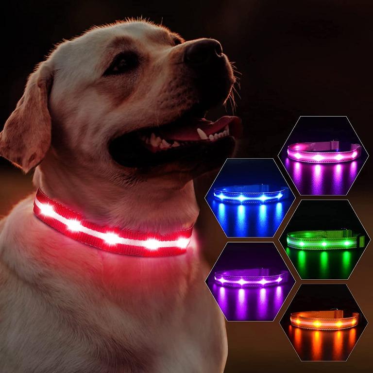 Red LED Dog Collar Medium Black dogs leash animal pet puppy new Gift 