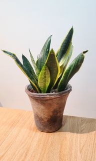 （分類：）位於 。 由 heropigpig 提交（商品編號 1167189405，圖片 1）。簡介： 。