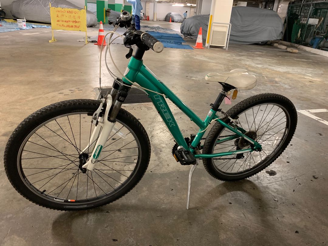 Trek Skye 13” Mountain Bike, Sports 