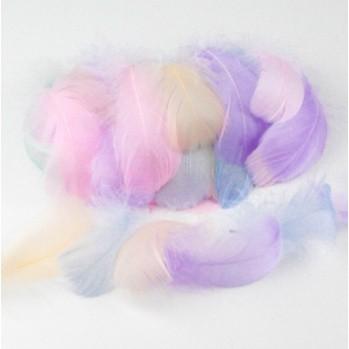 100pcs Feather Home Crafts Filler (Category: Craft Supplies & Tools) located in Malabon City. Submitted by heyitskhen (Listing ID 1167251357, Image 2). Description: colors: mix violet white red skyblue black 100pcs for 100 pesos. location: malabon city.