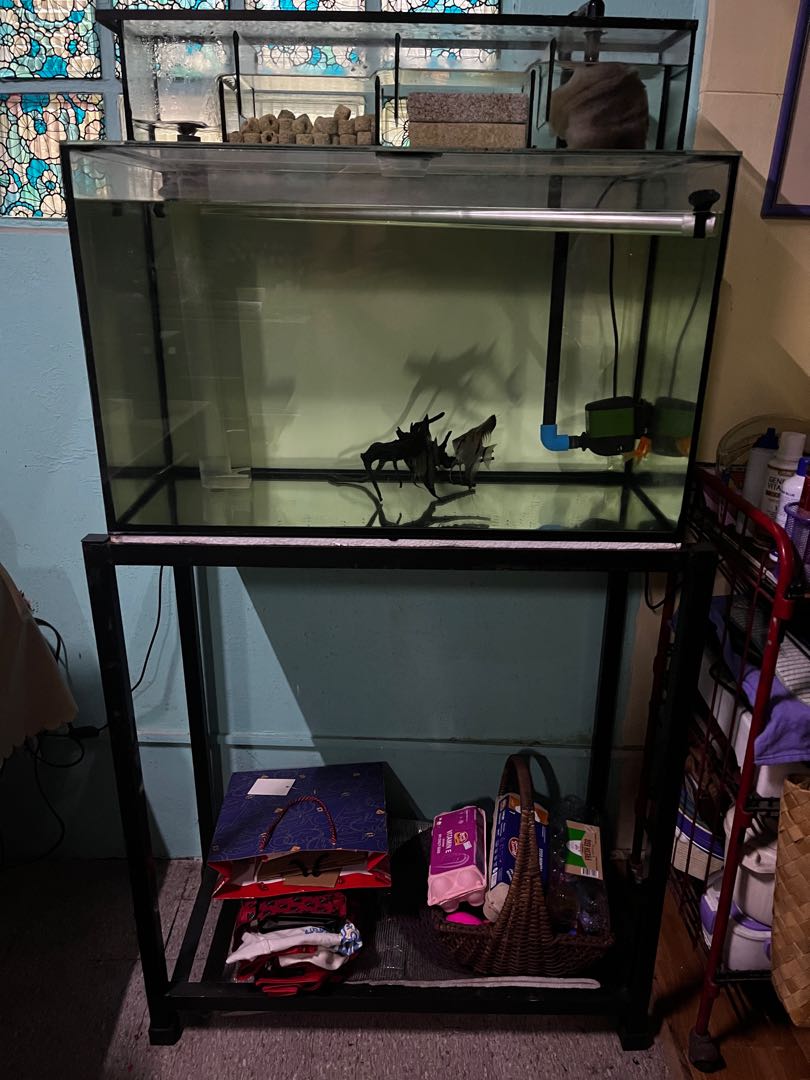 35 shop gallon aquarium