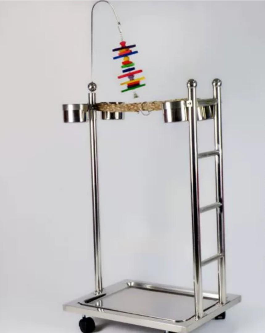 Stainless steel parrot stand outlet