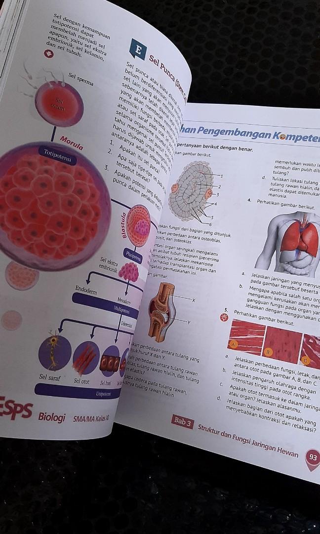 Esps Biologi Erlangga Kelas 11 Buku And Alat Tulis Buku Pelajaran Di