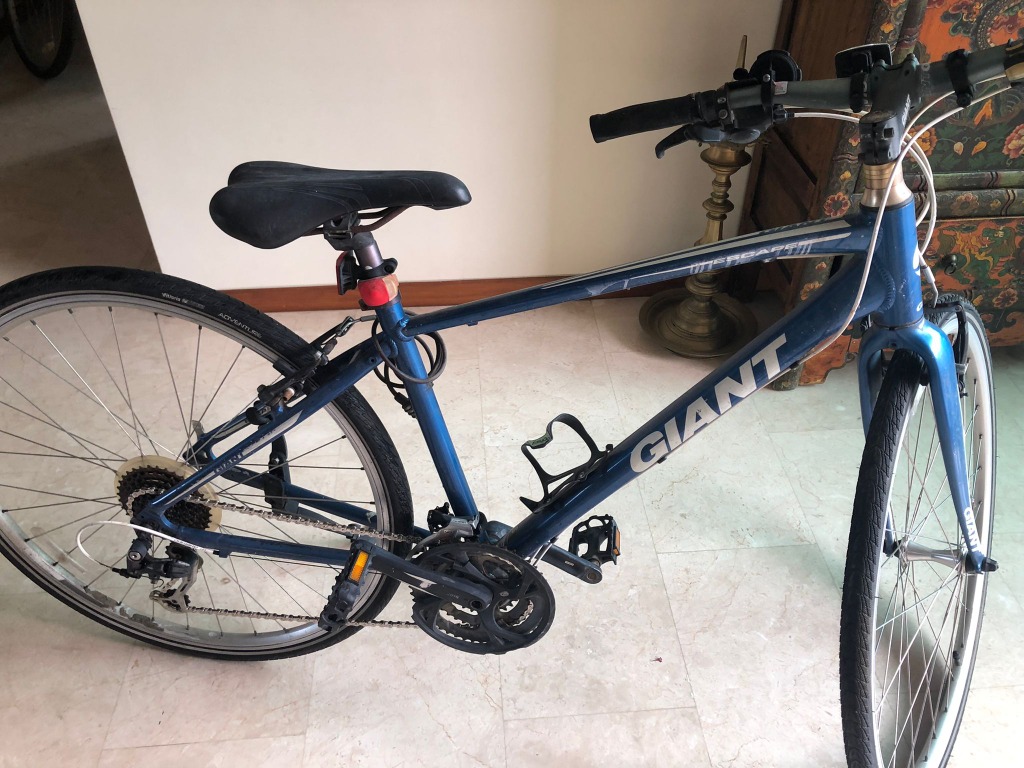 Giant Escape Blue Bike Sports Equipment Bicycles Parts