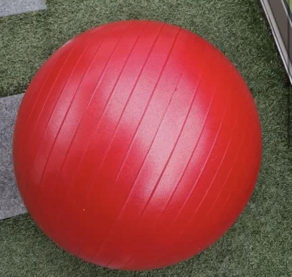 Gym ball store fitness first