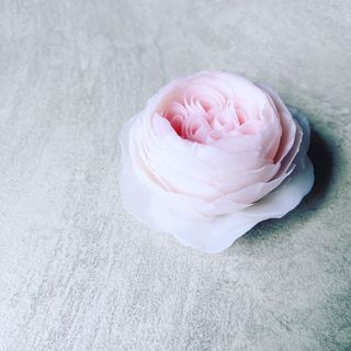 （分類：）位於 。 由 jasminecn 提交（商品編號 1167341528，圖片 1）。簡介： 。