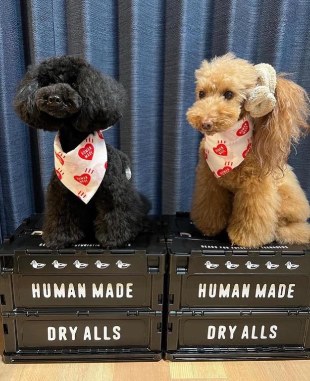 Human Made ♡彡Container 20/30/50/74L (Black), 傢俬＆家居, 家居