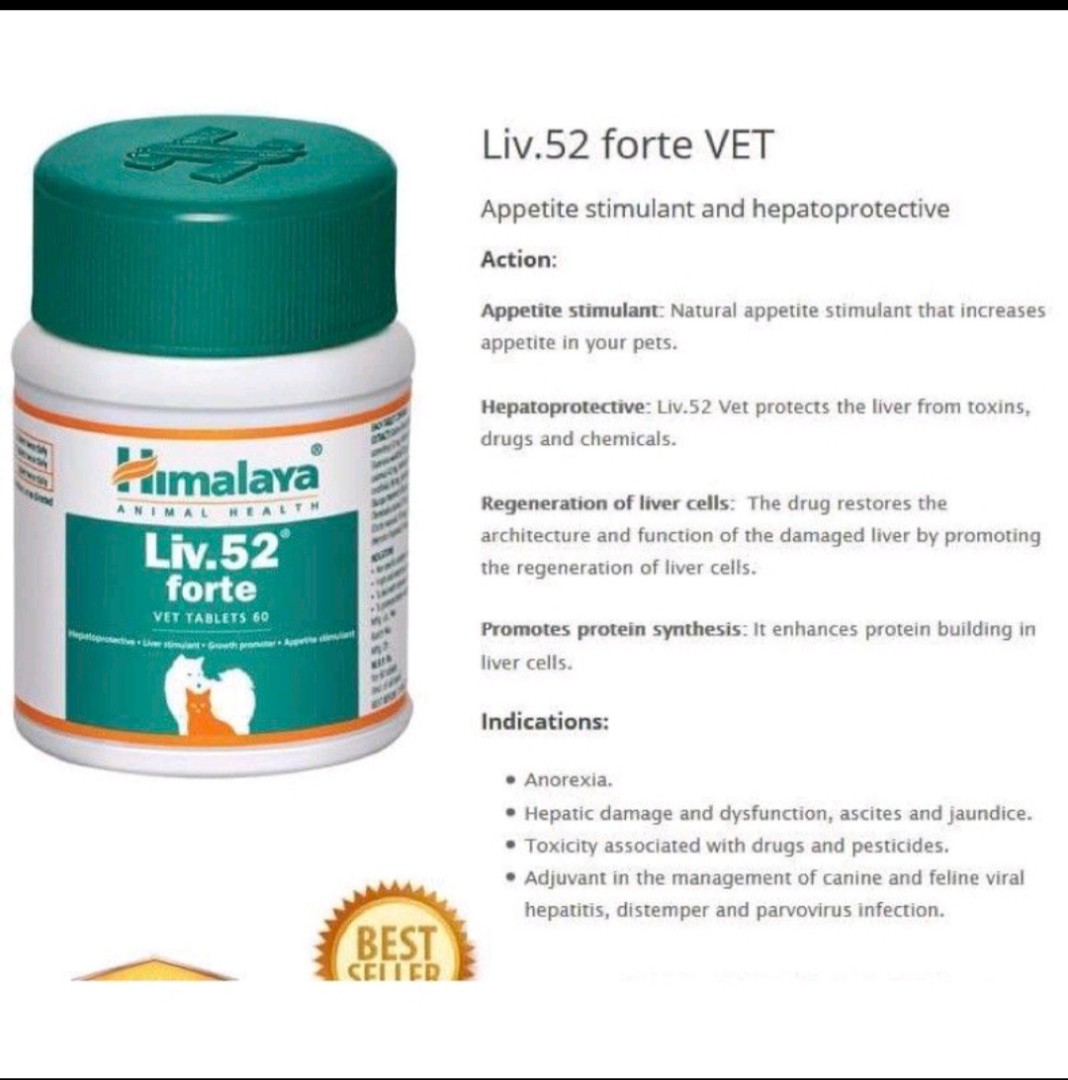 Liv 52 tablet and syrup for cats and dogs, Pet Supplies, Health & Grooming on Carousell