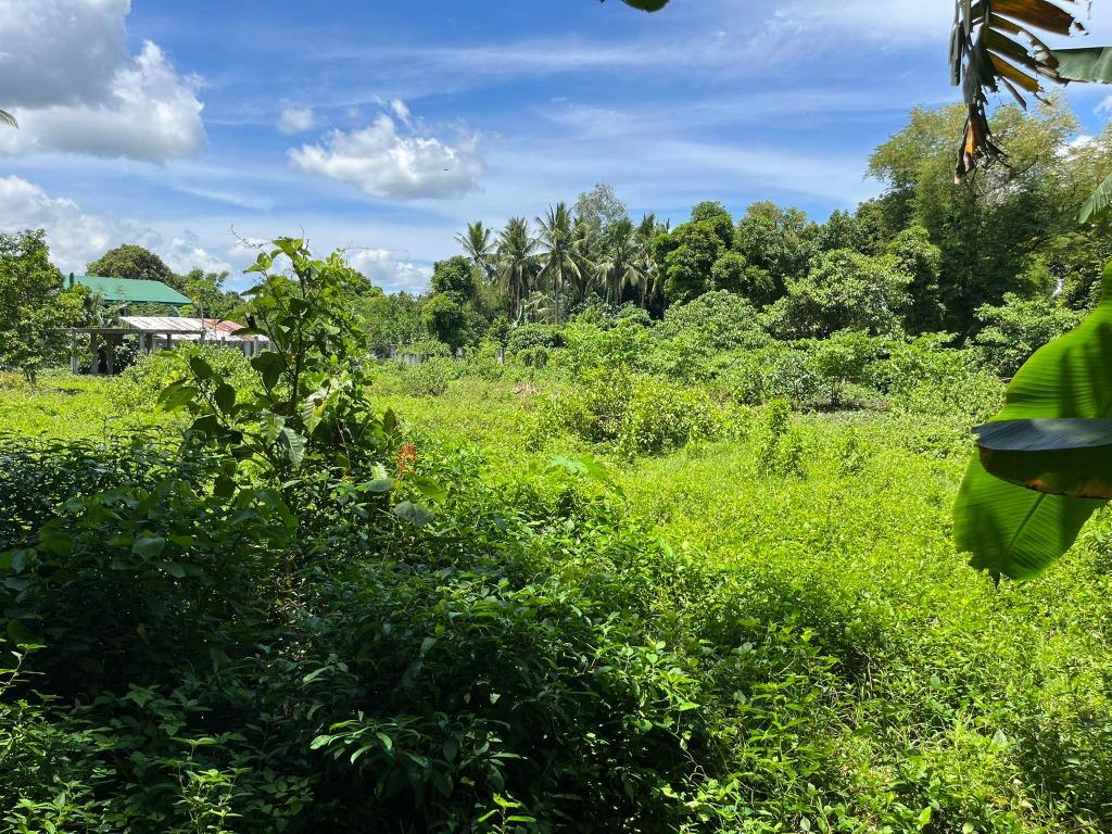 Lot for sale at Dominador West, Alitagtag, Batangas, Property, For Sale