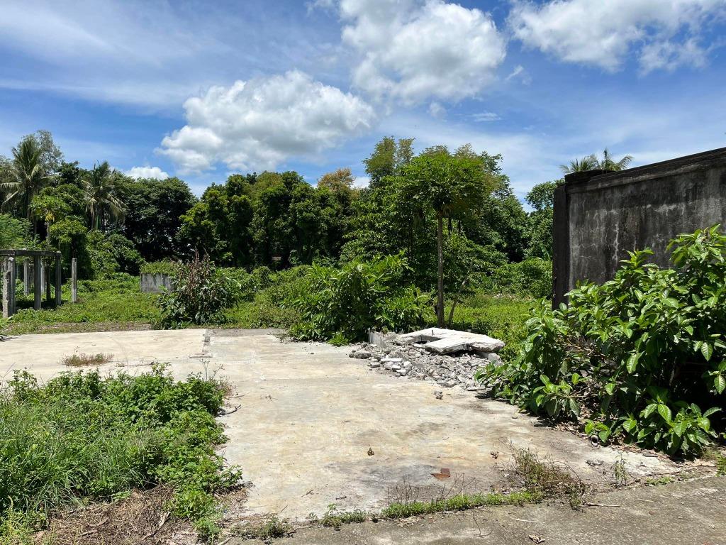 Lot for sale at Dominador West, Alitagtag, Batangas, Property, For Sale
