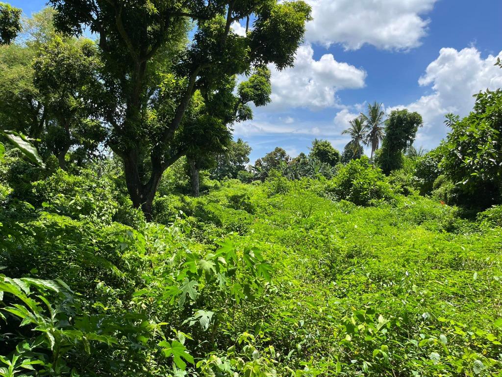 Lot for sale at Dominador West, Alitagtag, Batangas, Property, For Sale