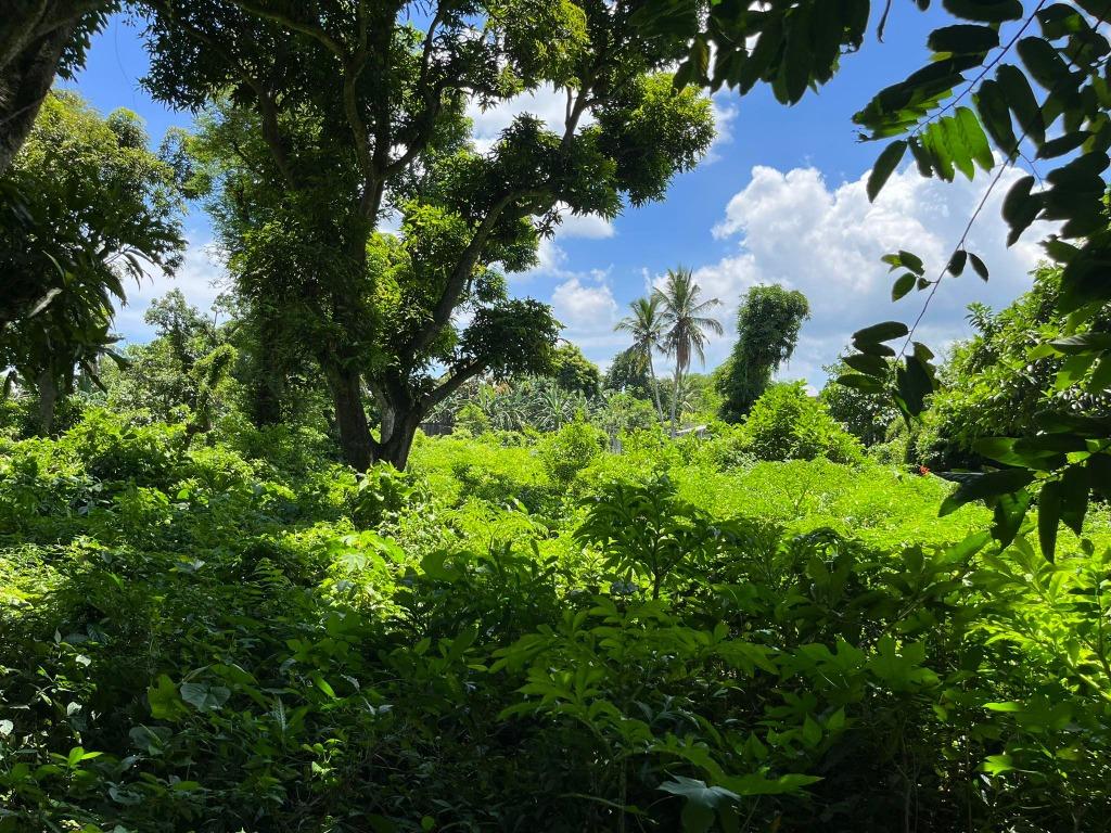 Lot for sale at Dominador West, Alitagtag, Batangas, Property, For Sale