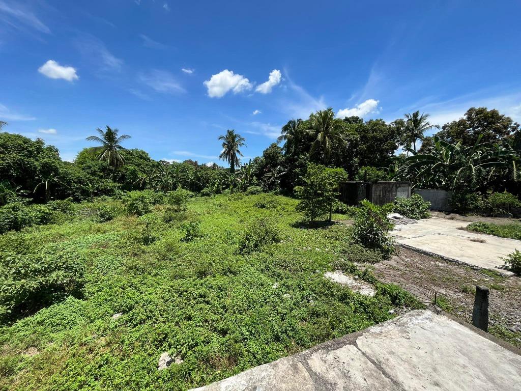 Lot for sale at Dominador West, Alitagtag, Batangas, Property, For Sale