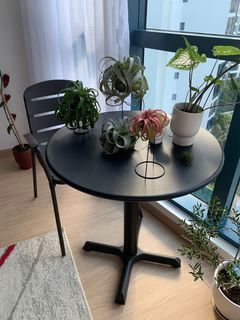(Category: ) located in . Submitted by phylplants (Listing ID 1167387735, Image 1). Description: .