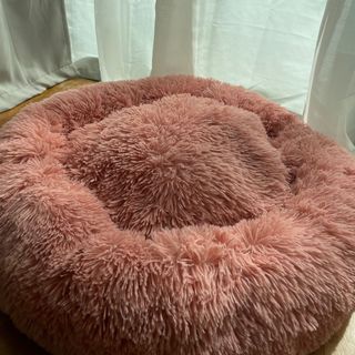 Joopzy top dog bed