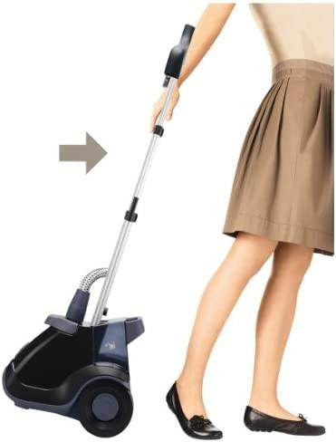 rowenta commercial steamer