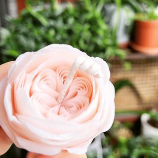 （分類：）位於 。 由 jasminecn 提交（商品編號 1167306719，圖片 1）。簡介： 。